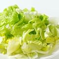 shredded lettuce