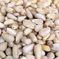 pine nuts