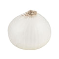 white onion